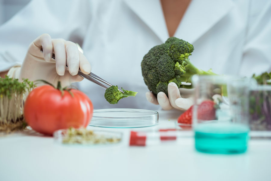 Food for Life-Spain – Food Safety workgroup meeting